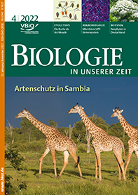 					Ansehen Bd. 52 Nr. 4 (2022): Artenschutz in Sambia
				