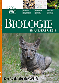 					Ansehen Bd. 54 Nr. 1 (2024): Die Rückkehr der Wölfe
				